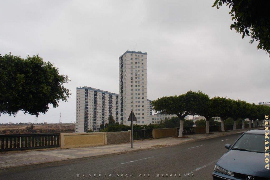 oran 292.jpg